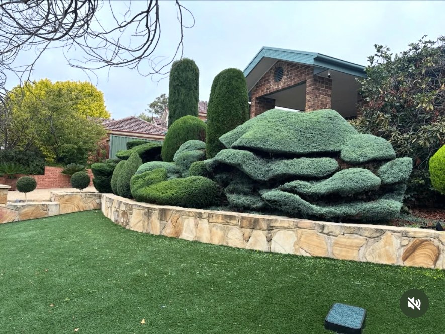 Cloud-pruned topiary garden with sandstone retaining wall