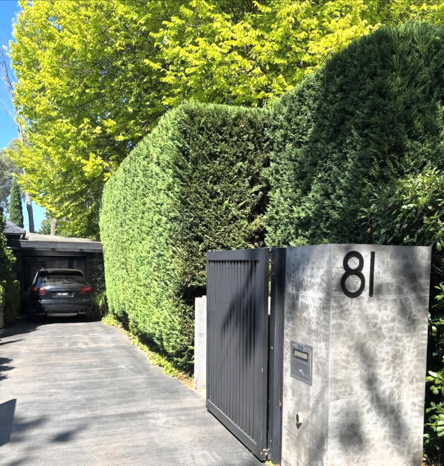 O'Connor cypress hedge along a private driveway